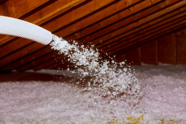 Types of Insulation We Offer in Colorado City, CO